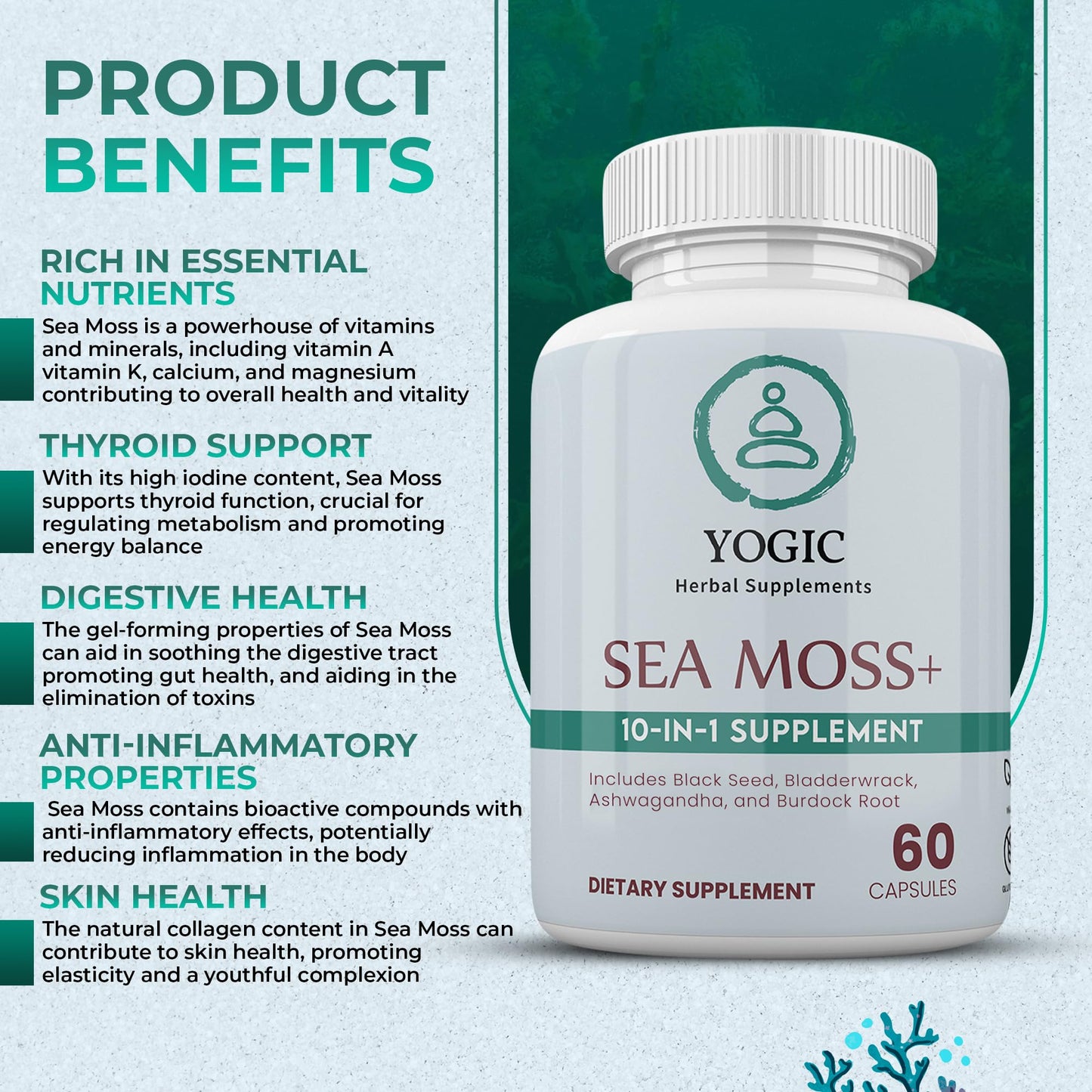 Sea Moss Complex